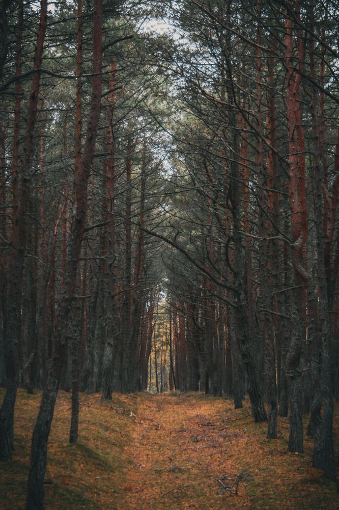 Photograph by Валерия Первенецкене