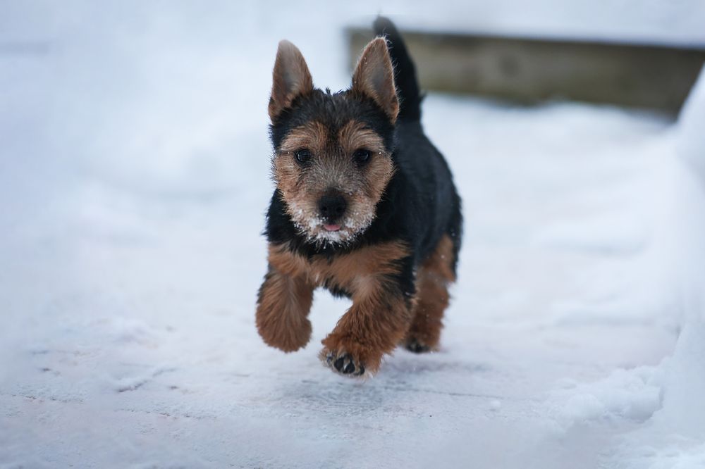 Фотография автора Анна Абрамова