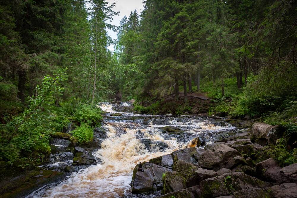 Photograph by Диана Бородзе