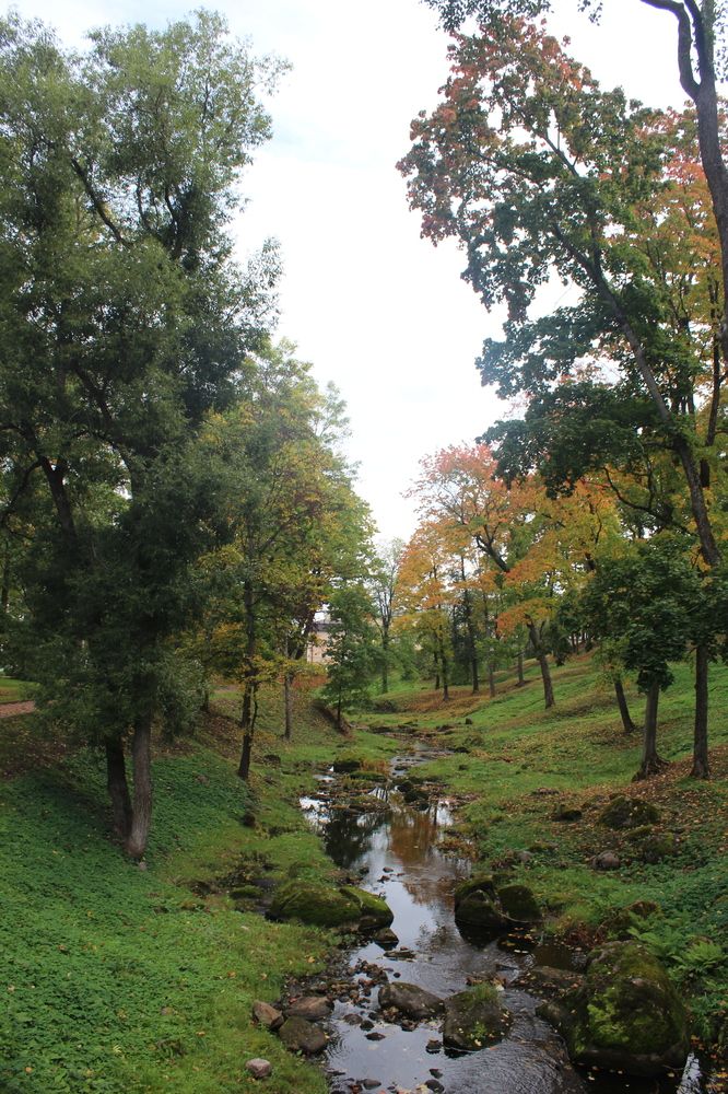 Photograph by Елена Пильцова