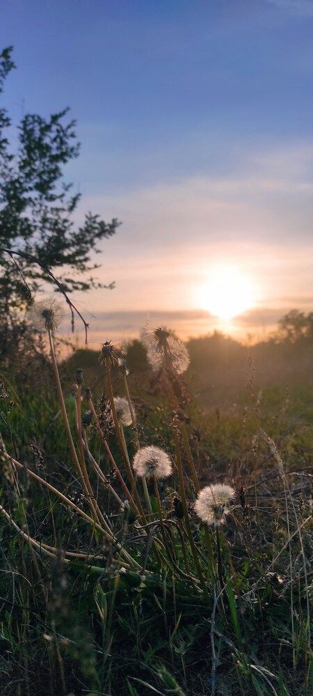 Photograph by Ирина Бочарова
