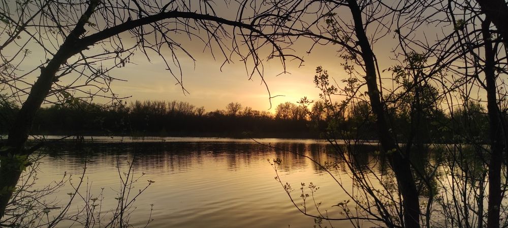 Photograph by Ирина Бочарова