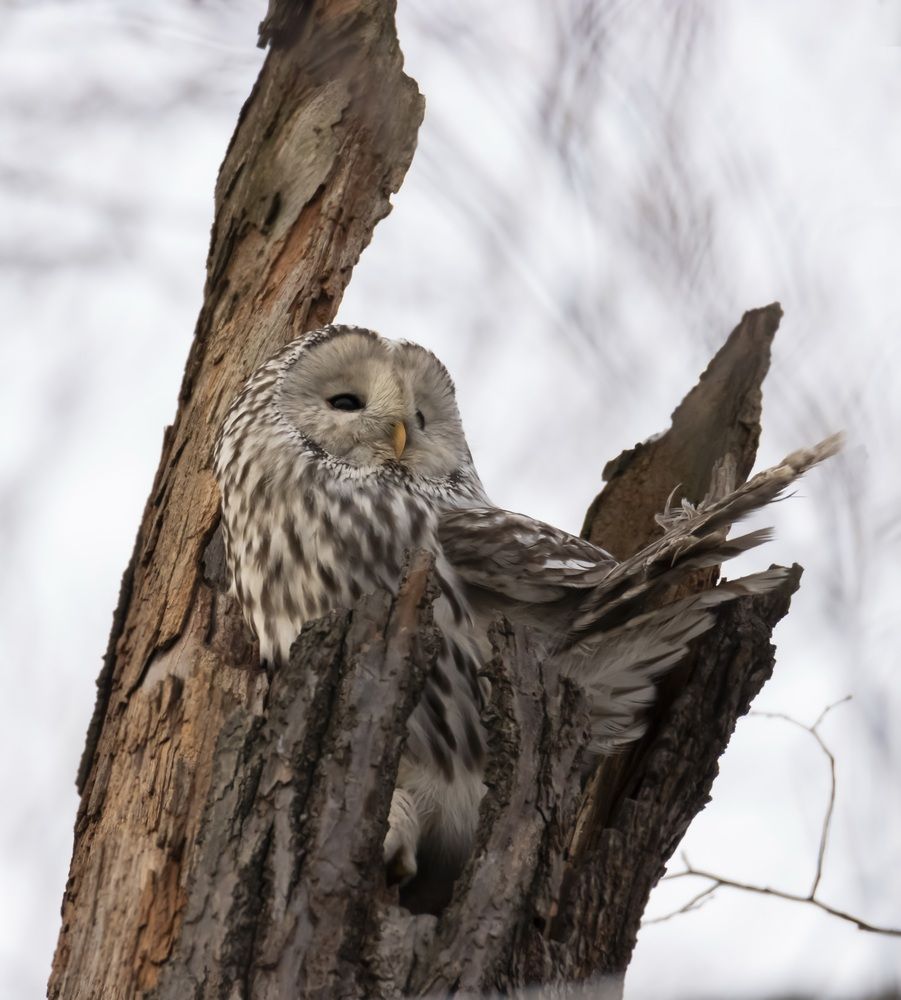 Photograph by Валентина Куренкова