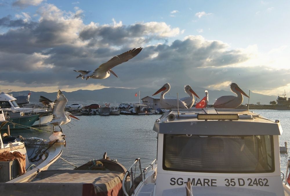 Photograph by Süleyman Ülker