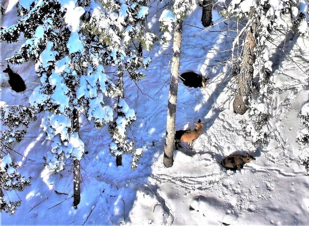 Photograph by Сергей Журавлев