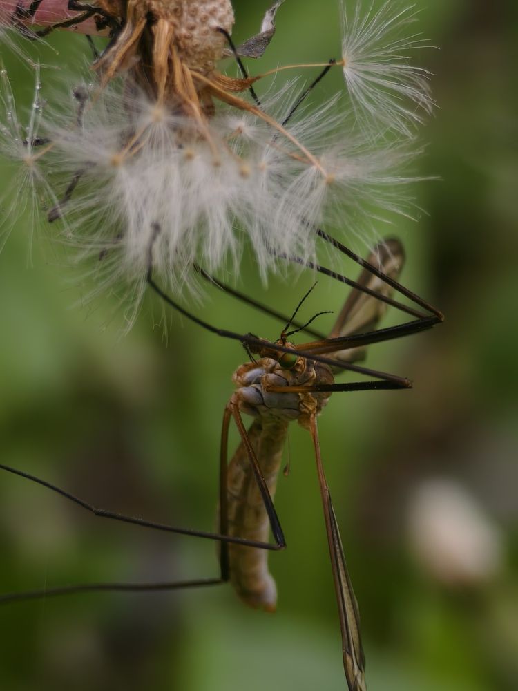 Фотография автора Евгений Былков