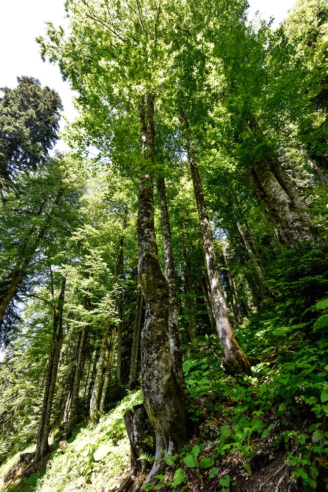 Photograph by Мария Негреева