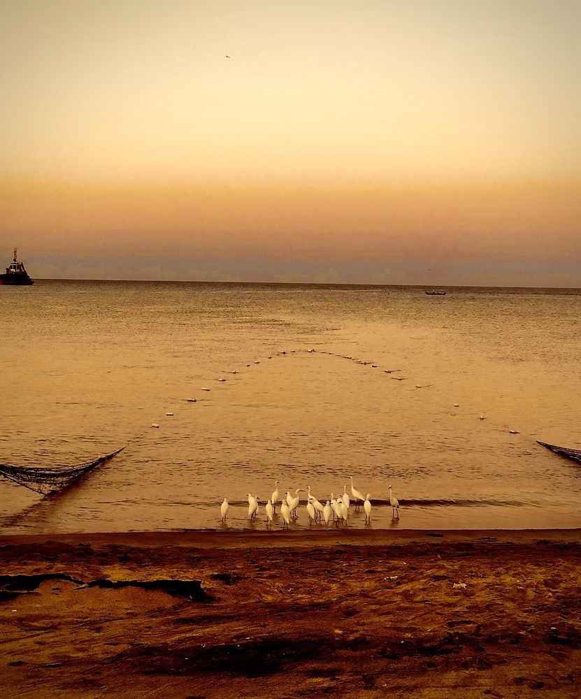 Фотография автора Dennis Neira Carreño