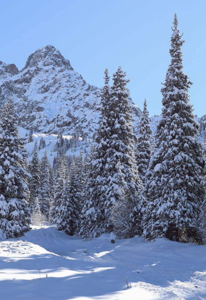 Photograph by Анна Чичилова