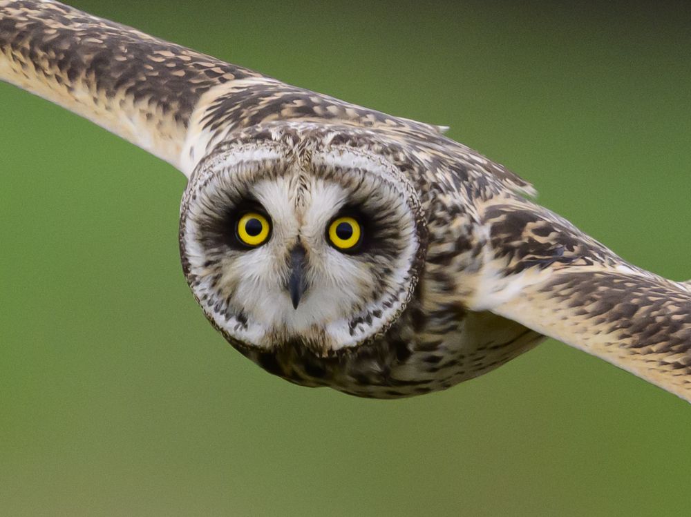 Photograph by Пупонин Сергей