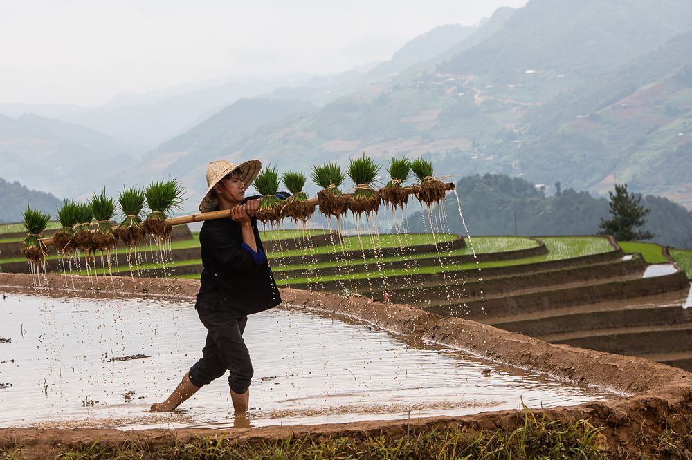 Photograph by Марина Маликова