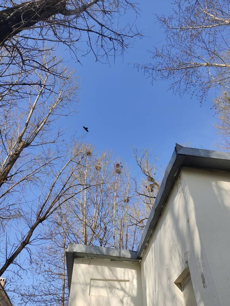 Фотография автора Мария Александрова