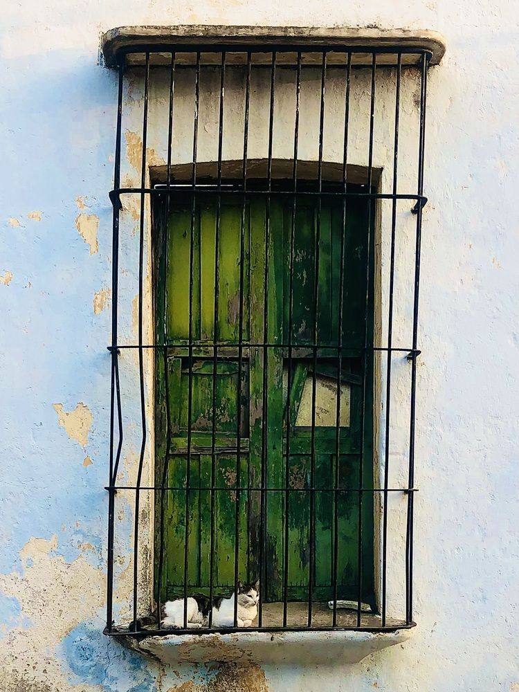 Фотография автора Dennis Neira Carreño