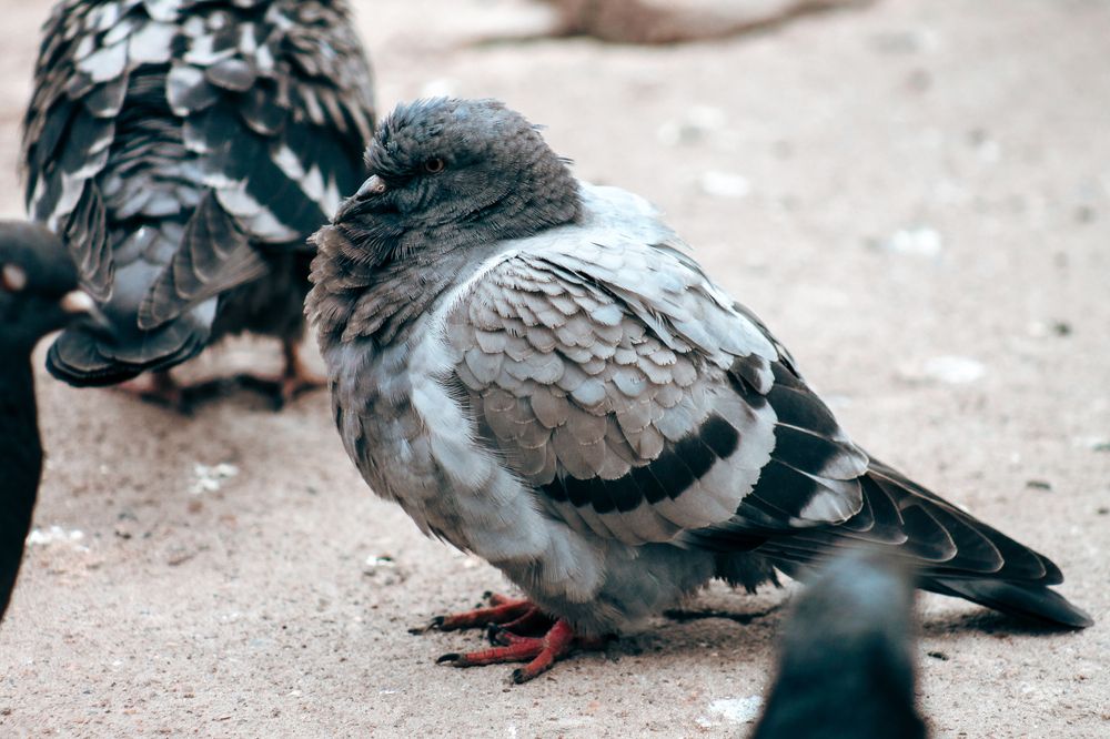 Photograph by Анастасия Псарёва