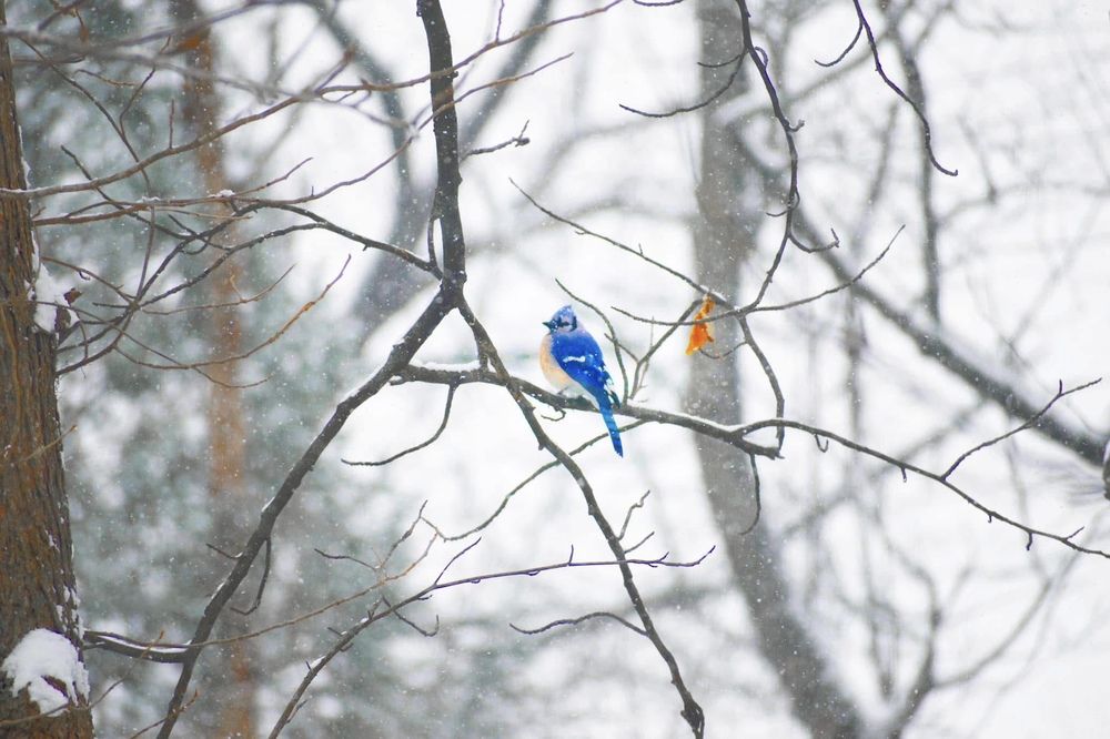 Photograph by Gargee Chowdhury