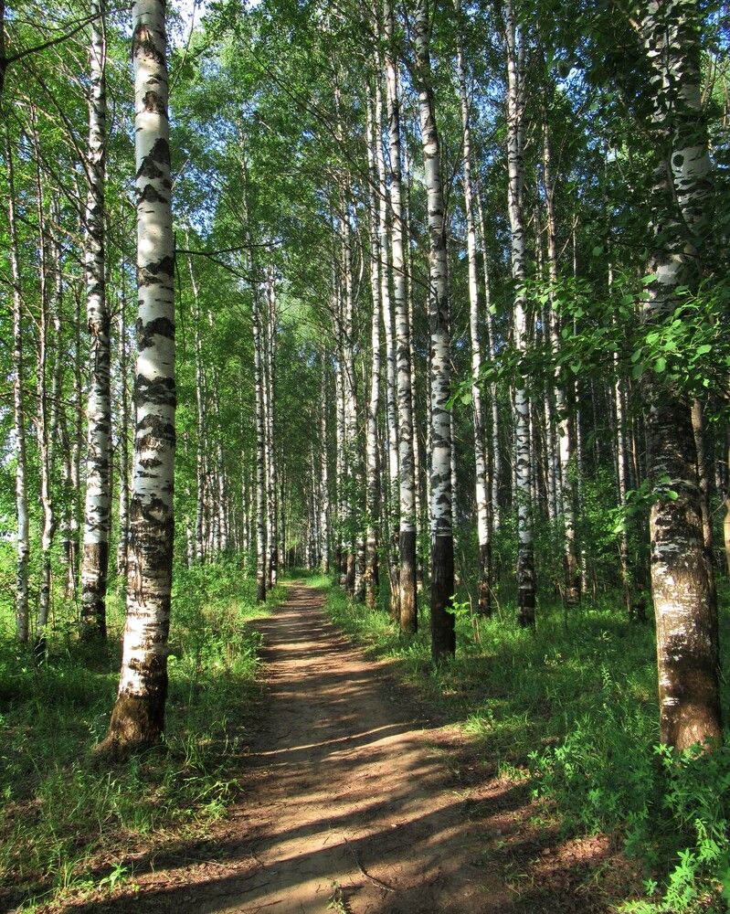 Photograph by Ольга Березовская