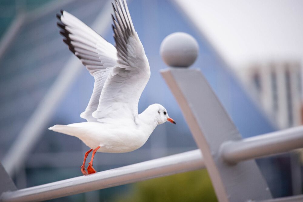 Photograph by Olga Gann