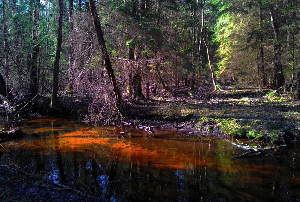 Photograph by Москалев Андрей