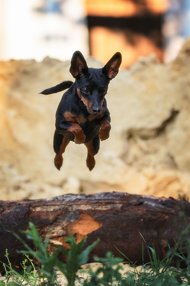 Фотография автора Анна Абрамова