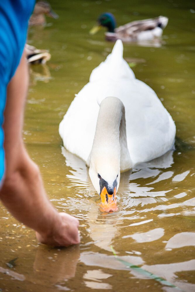 Photograph by Olga Gann