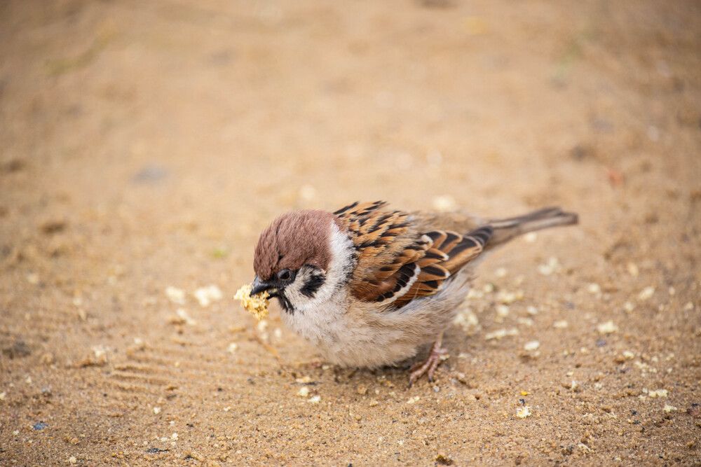 Photograph by Olga Gann