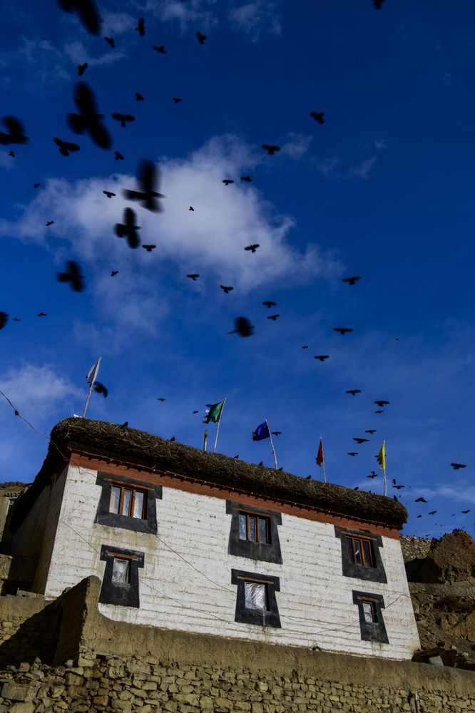 Photograph by Пупонин Сергей