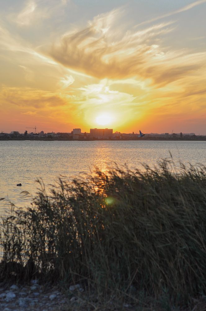 Закат на лебедином озере