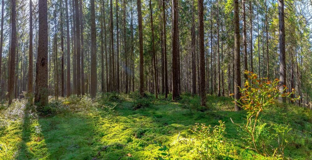 Photograph by Вадим Маслов