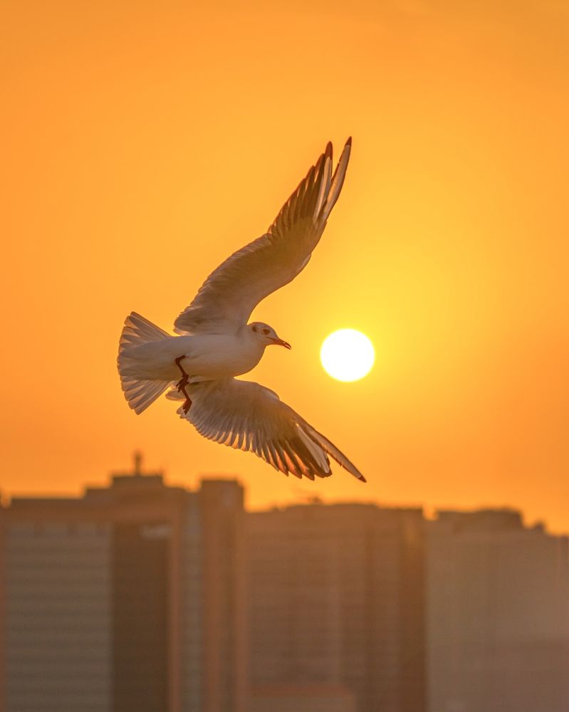 Photograph by Jayakumar MN