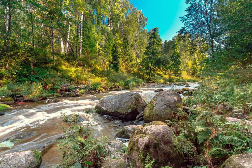 Photograph by Вадим Маслов