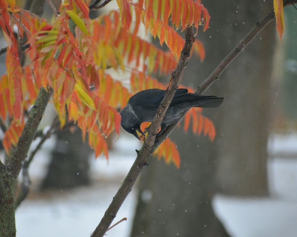 Photograph by Виолетта Клюева