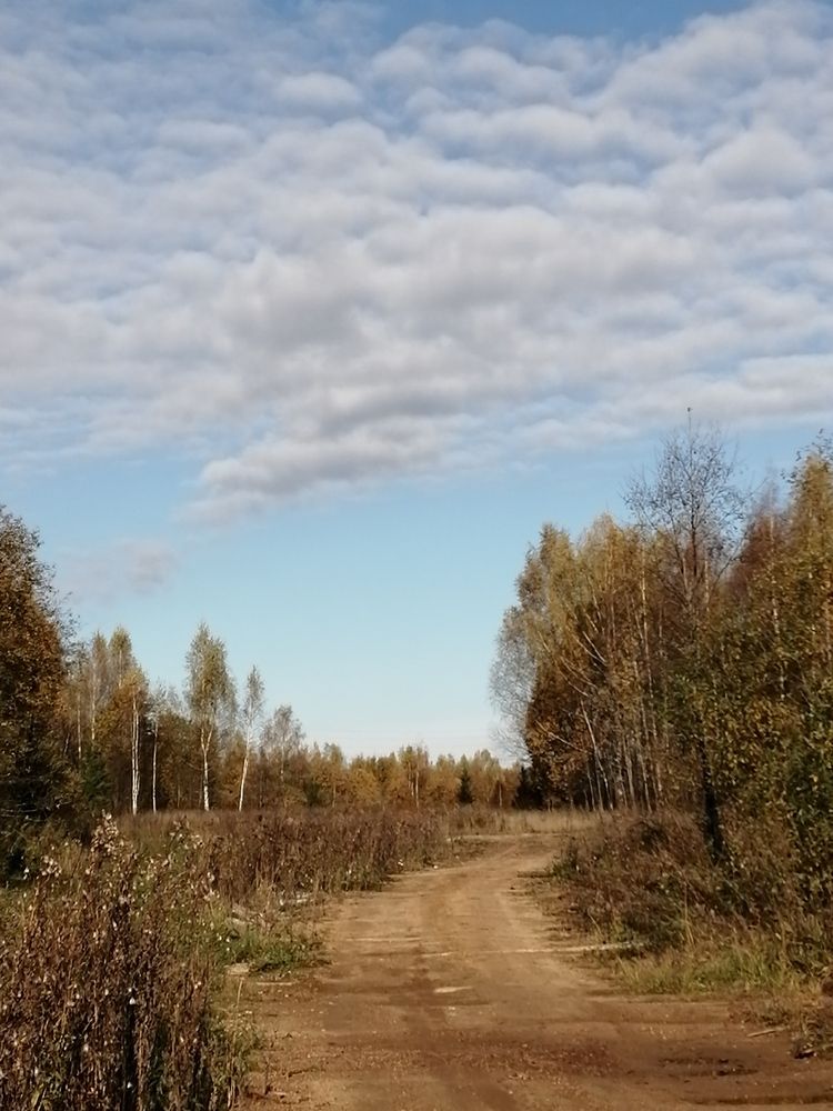 Фотография автора Кузьмичева Екатерина Васильевна