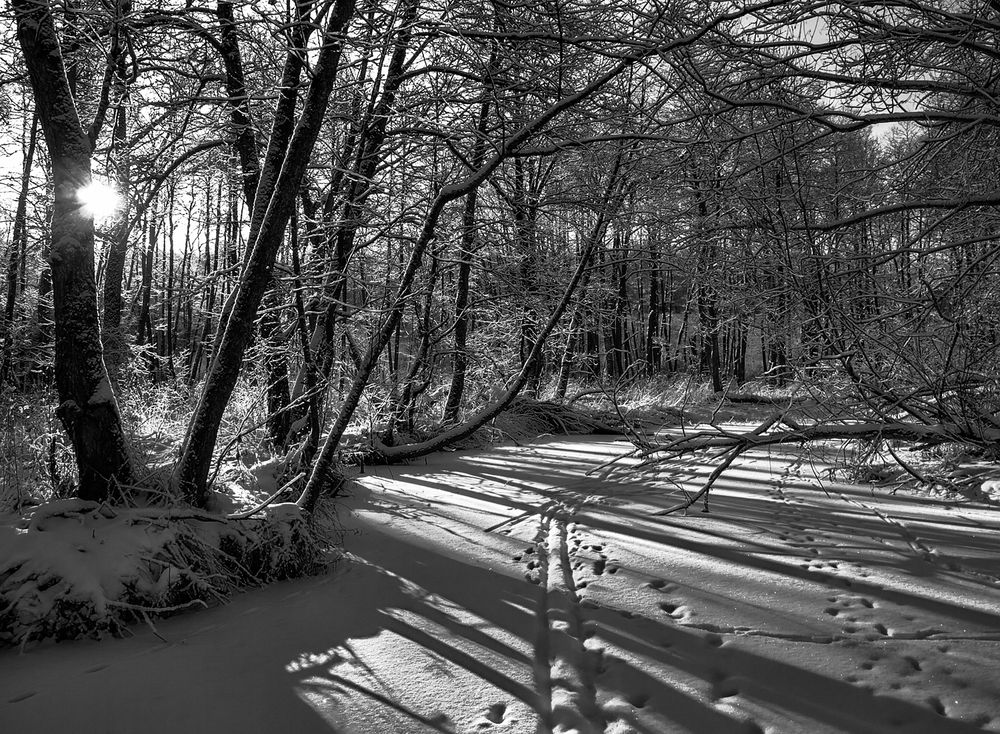 По маленькой речке