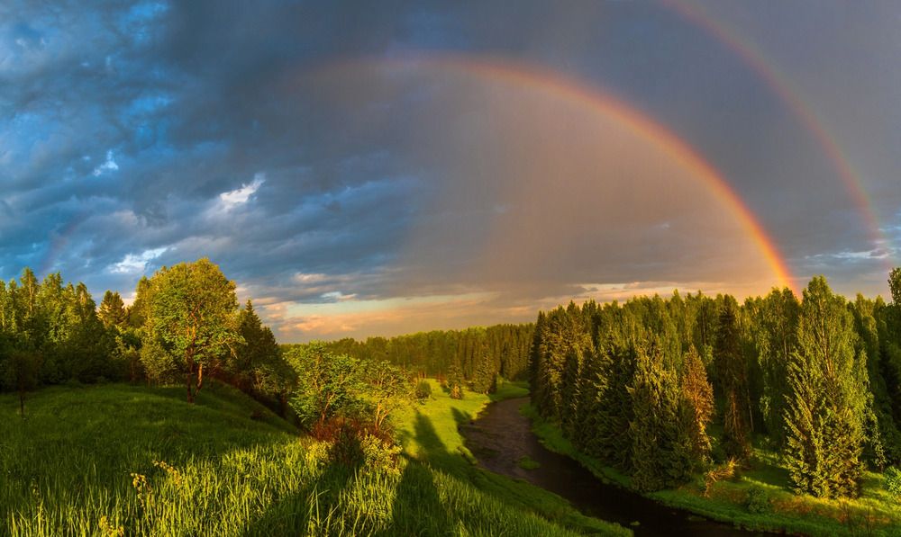 Photograph by Ольга Крицак