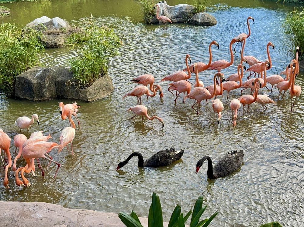 Фотография автора ГУЗАЛИЯ ГАНИЕВА