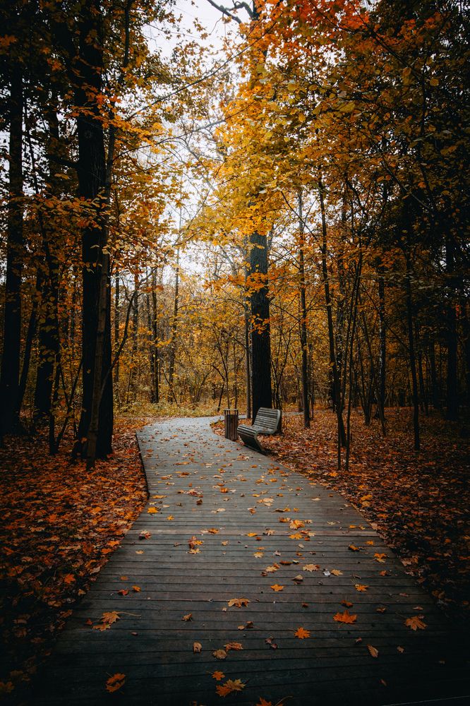 Photograph by Сергей Макаров