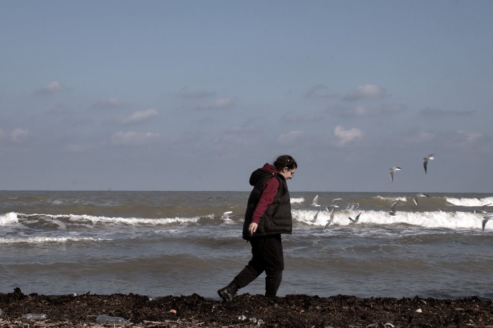 Фотография автора Kimia sadat partovi