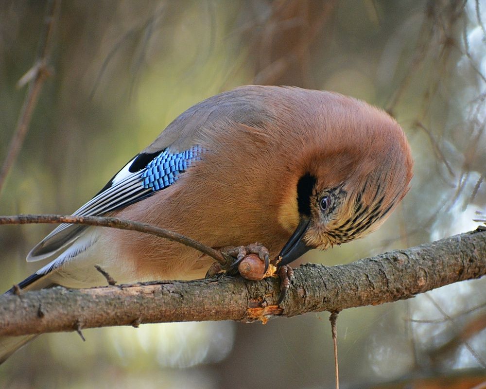 Photograph by Виолетта Клюева