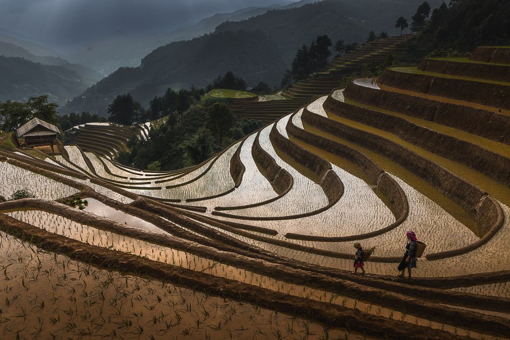 Photograph by Марина Маликова