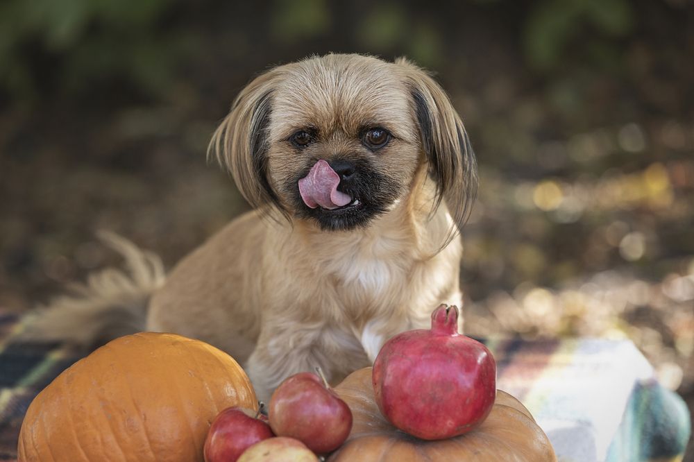 Краски осени 2024