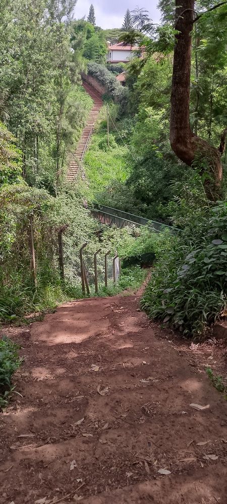 Photograph by Francis Macharia