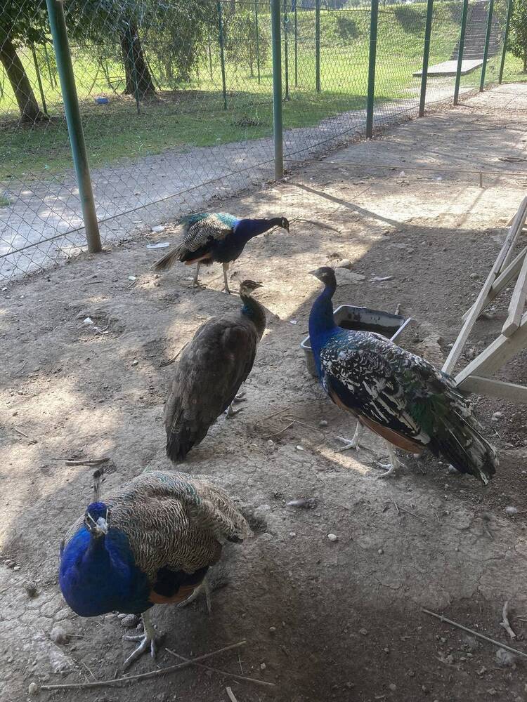 Photograph by Светлана