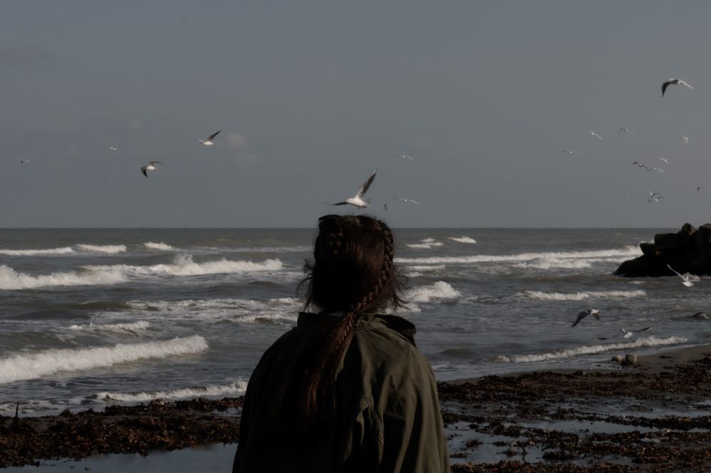 Фотография автора Kimia sadat partovi