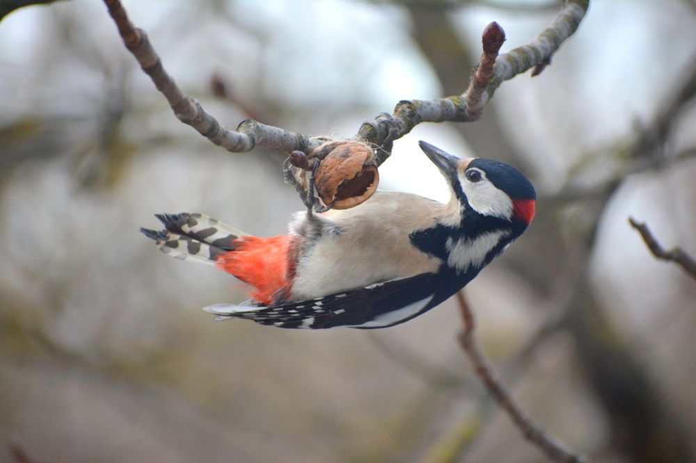 Photograph by Виолетта Клюева