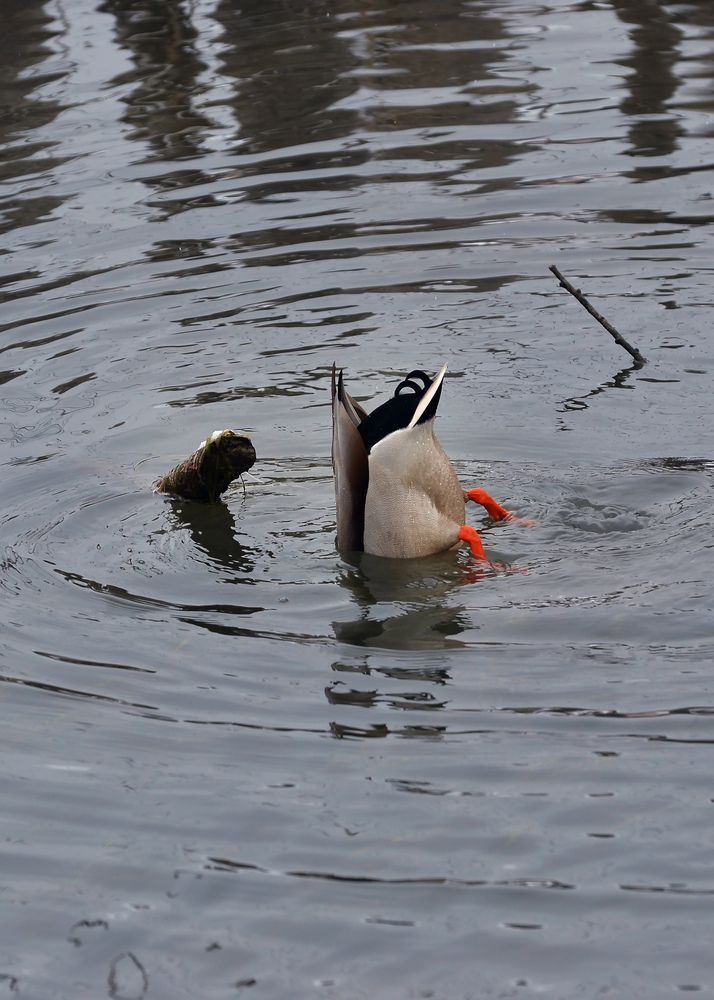 Photograph by Олег Титкин