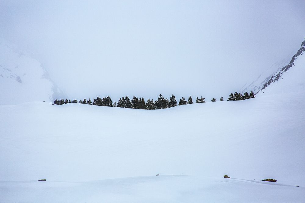 Фотография автора Ana Maria Descoubes