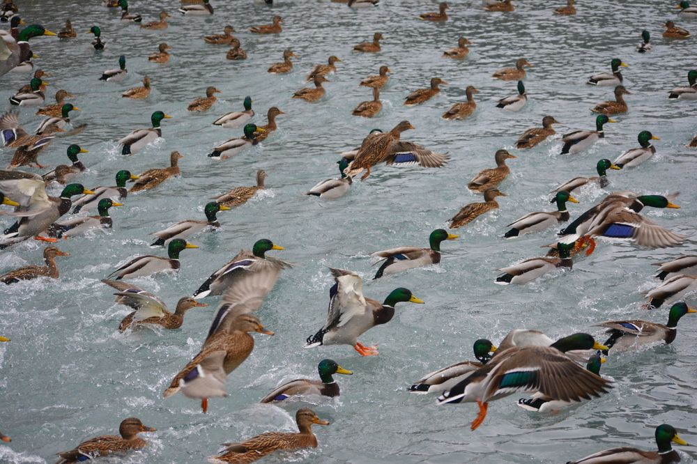 Photograph by Виолетта Клюева