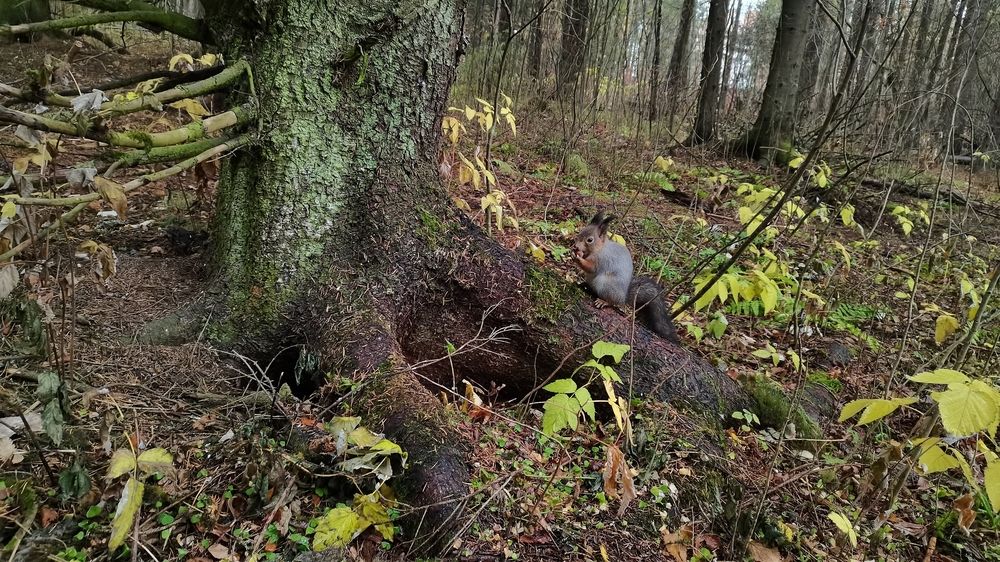 Photograph by Анастасия