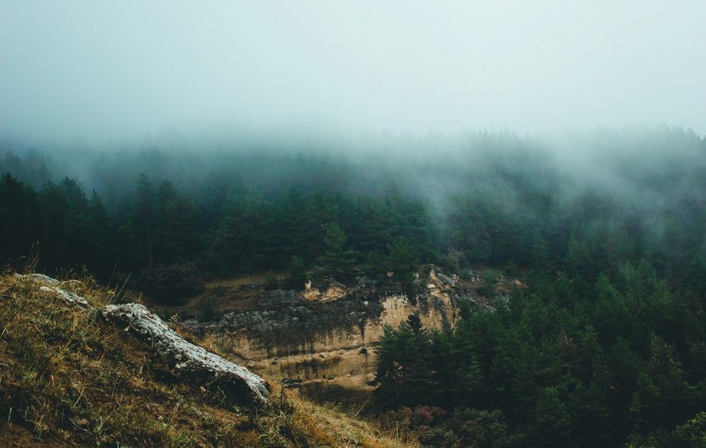 Photograph by Галчонок Ахмерова