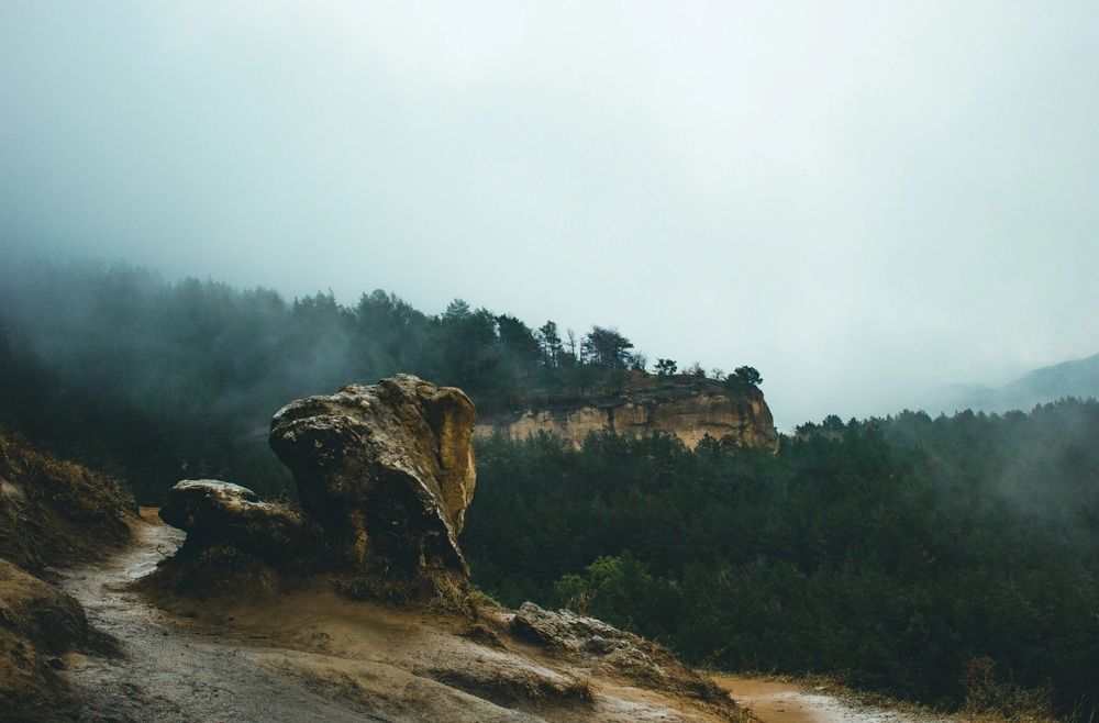 Photograph by Галчонок Ахмерова